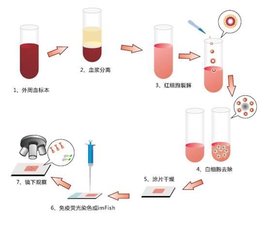 华夏基因创新研发 肿瘤早筛查的突破——单细胞转录组测序与ctRNA细胞技术