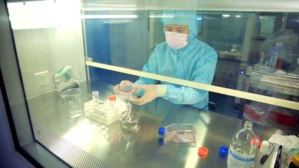 37个干细胞临床项目通过备案 新生儿脐带间充质干细胞引领医学新希望