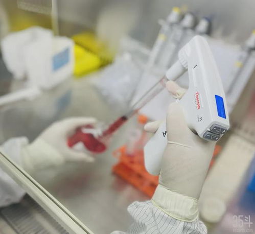 专注细胞培养牛肉,这家公司将医学细胞治疗技术转移到食品行业