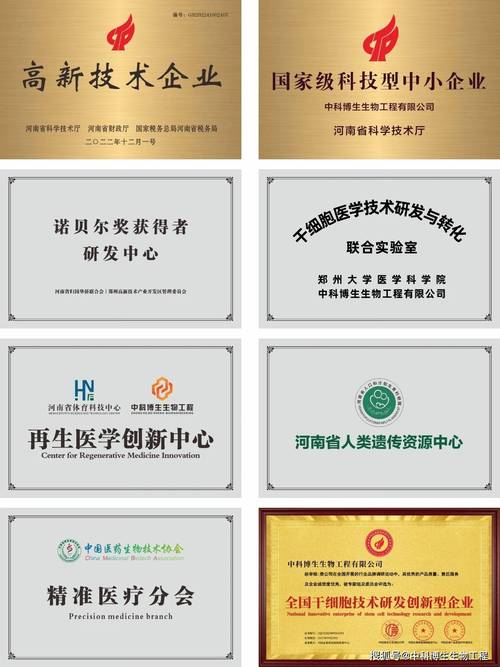 中科博生细胞技术研发:生物医药产业创新逻辑与合作选型指南