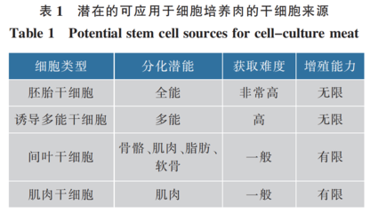 细胞肉培养技术也能用于细胞疗法?业内人士:研发方向不同,但基础原理类似